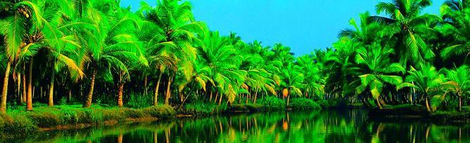 فندق Alappuzhaفي  Chaandhni Lake View المظهر الخارجي الصورة